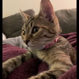 Meet your Posher, Ryan